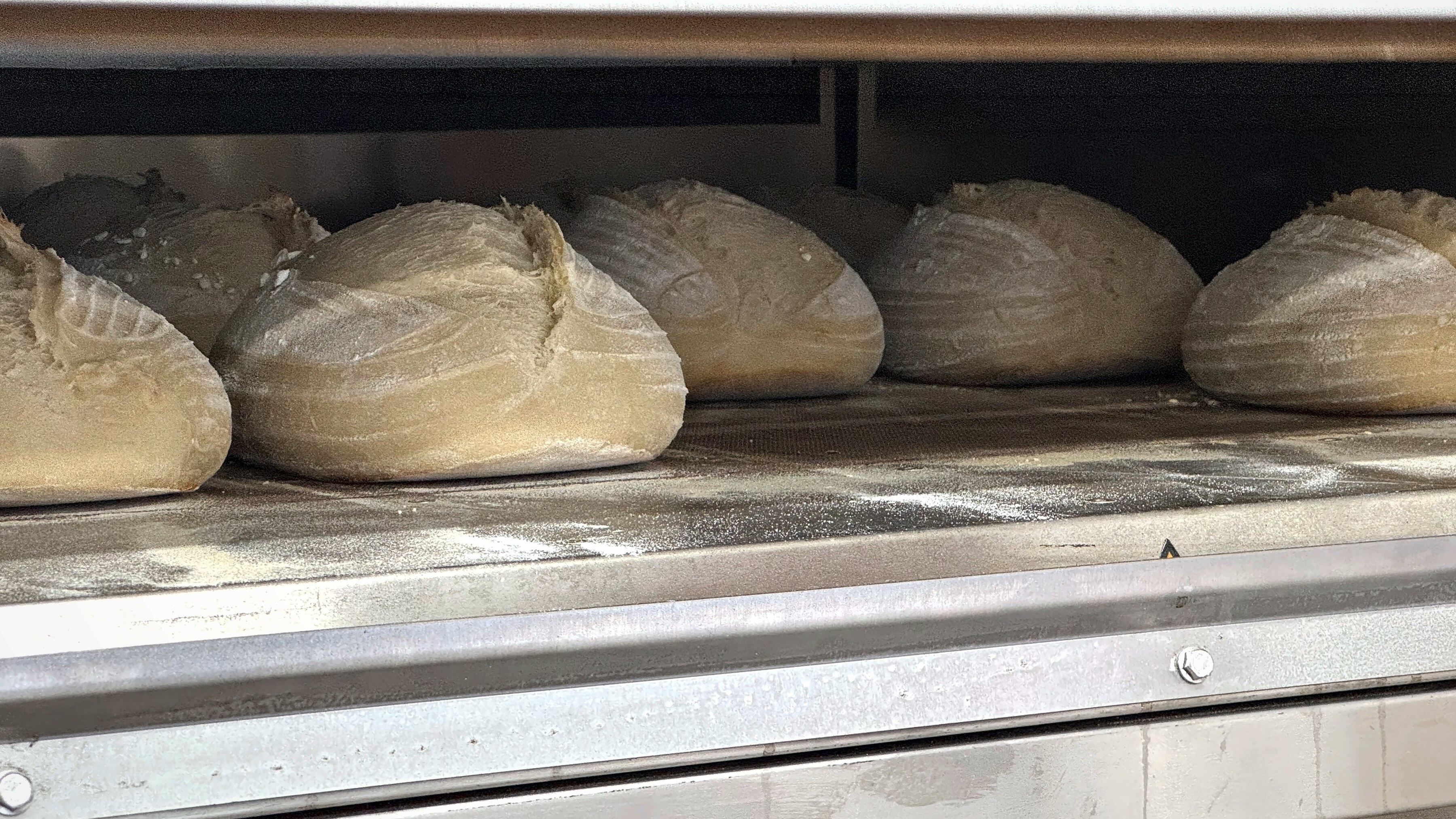 Loaves baking in the deck oven at The Globe Bakery, Laugharne